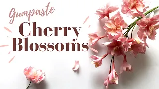 How to make Sugar Cherry Blossoms! // Tutorial // Make Sugar Flowers at Home with Finespun Cakes