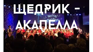 США. Christmas. АКАПЕЛЛА - Щедрик  -  House of Bread 2015