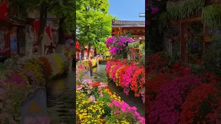 The old town of Lijiang, Yunnan province, China #shorts/中国云南省丽江古城/中國雲南省麗江古城