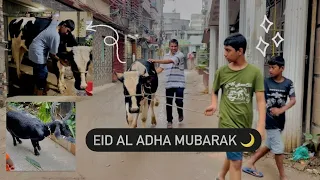 EID AL ADHA MUBARAK ! || Eid vlog ||vlog-49 || Asadujjaman Raj 10