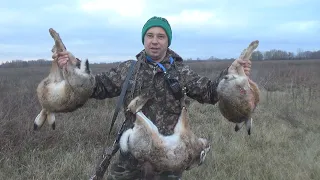 MY DAY!!! HARE HUNT 2023-24!!!!SHOT ALL THE CARTRIDGES!!! HARE IN RED WINE!!!