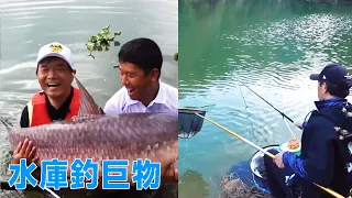 [Zhejiang Reservoir] Giant crucian carp caught despite small fish nuisances! [Deng Gang]