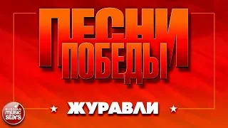 ПЕСНИ ПОБЕДЫ ★ ЖУРАВЛИ ★ ДМИТРИЙ ХВОРОСТОВСКИЙ