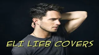 The Best Songs of Eli Lieb