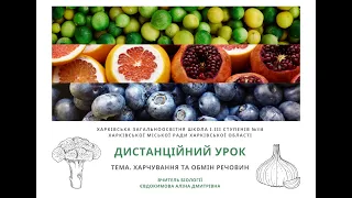 Дистанційний урок з біології, Євдокимова А Д