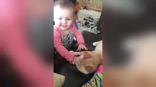 Cute baby & cat compilation   Cats and babies are best friends