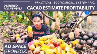 Magkano ang Gastos at Kikitain sa Pagtatanim ng Cacao? - Cacao Farming Profitability #12