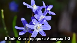 Аудіо Біблія українською мовою ❤️ Книга пророка Авакума 1-3🌷#біблія