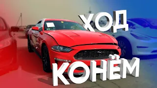 Ford Mustang из США за КОПЕЙКИ | Хлам или повезло? | 2.3 Ecoboost