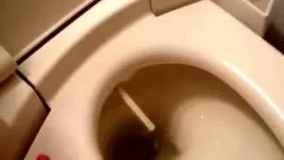 How a Japanese Toilet Works / Как Работает Японский Туалет