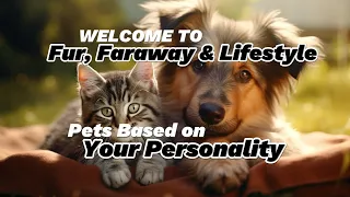 How to Choose the Perfect Pet for your personality