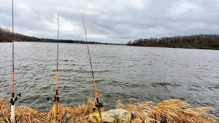 Early Spring Bank Fishing for FAT CATFISH!! (New Gear)