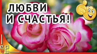 Подруга! Дай Бог тебе любви и счастья...Цветы и пожелания подруге просто так. Музыка для души