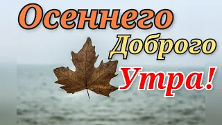 Доброго осеннего утра и прекрасного дня! СТИХиЯ.