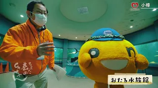 【公式】巷のonちゃん＃244　おたる水族館　冷たい海の仲間たち