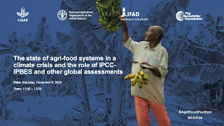 The state of agri-food systems in a climate crisis & the role of IPCC-IPBES & other assessments