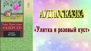 Улитка и розовый куст/ Аудиосказка /Сказки Андересена / Сказки на ночь /Волшебные часы для детей