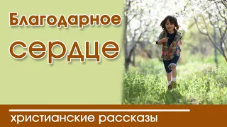 🔻ОЧЕНЬ интересный рассказ- «Благодарное сердце»