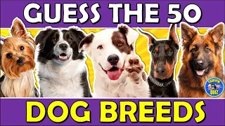 Guess the "DOG BREED" QUIZ! 🐶 Challenge/Trivia/Test