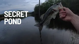 Fishing SECRET Pond Full Of BASS!