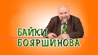 Политкорректность и неполиткорректность, или йод всему голова