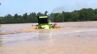 Steiger panther swimming out