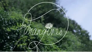 Demain Dès l'Aube - Les Frangines (Clip Officiel)