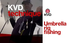 KVD Throws an Umbrella Rig - bass fishing tips and highlights with Kevin VanDam