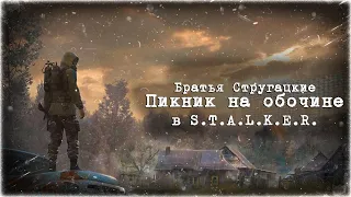 Пикник на обочине и S.T.A.L.K.E.R. одинаковы?