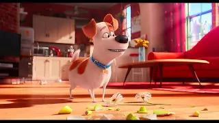 Secret Life of Pets - [ Scene/ Clip ] - Max Blackmails His New Partner Dog - Latest MovieScenes