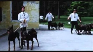 Dobermans in movie -- 3 -- Доберманы в кино