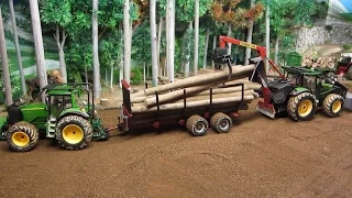 LOADING LOGS and Transport with Tractors on the Corleone Farm