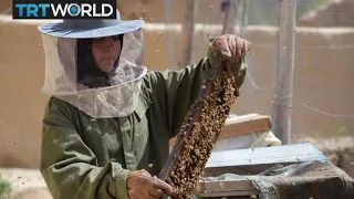 Farmers revive honey business in Syria’s Aleppo | Money Talks