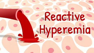 Reactive Hyperemia & a Bonus Point | Mechanisms of Local Control of Blood Flow | Physiology