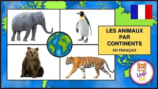 LES ANIMAUX PAR CONTINENTS | Les noms et bruits pour les enfants