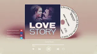 Love Story - Andy Williams ♫ Violin Cover ♫ Hilary Julia