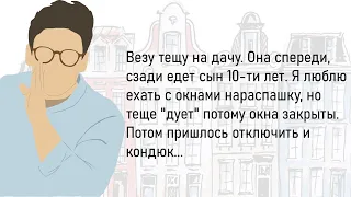 🏠Сборник Новых,Весёлых Жизненных Историй,Для Позитивного Настроения На Весь День!