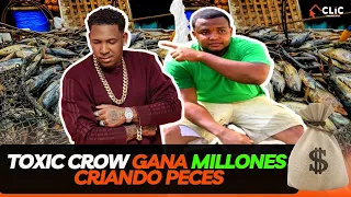 TOXIC CROW gana 💲4.000.000 criando Tilapias 🐟 conoce el Estanque  MILLONARIO 💰🤑