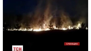 На Тернопільщині сталася лісова пожежа