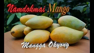Namdokmai Mango/Mangga Okyong