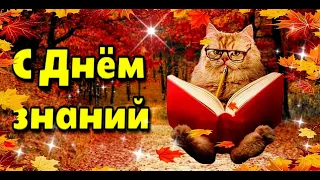 🍁🌞📚 1 сентября День знаний 📚 С днем знаний!💗Красивое музыкальное пожелание