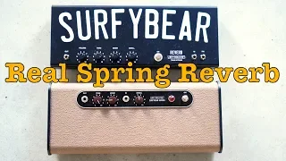 Surfy Spring Reverb - #162 Doctor Guitar