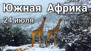 Рекордные морозы и снегопады в Африке, ЮАР