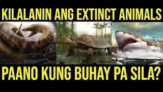 MGA HAYOP NA EXTINCT NA | PAANO KUNG NABUBUHAY PA SILA?