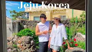 Jeju Island, Korea 🌴🍊 color blind husband sees ocean for the first time 🌊 🥲 & a date w/ alpacas! 🦙