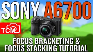 SONY A6700 AMAZING FOCUS BRACKETING & STACKING TUTORIAL | ZERENE STACKER