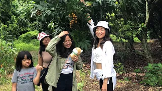 Visiting Khmer fruit farm in Florida