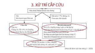 [DÀNH CHO NHÂN VIÊN Y TẾ] HÔN MÊ TIỂU ĐƯỜNG NHIỄM CETON. PGS.TS. PHẠM VĂN QUANG- TRƯỞNG KHOA HSTCCĐ