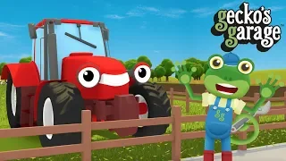 Tractors For Kids | Gecko's Garage | Educational Videos For Children | Truck Cartoons