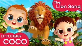 [리틀베이비 코코] The Lion Song🦁 | 영어 동요 | 같이 노래해요🎵 | 동물의 왕 | 어흥 | 동물송 | LittlebabyCoCo